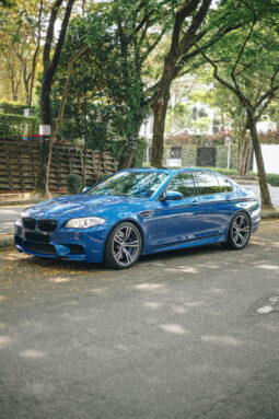 
										2011 BMW M5 F10 full									