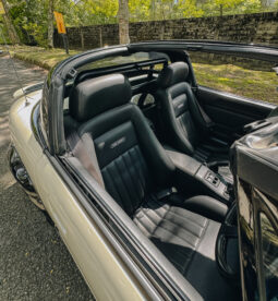 
										Suzuki Cappuccino (EA11R) full									